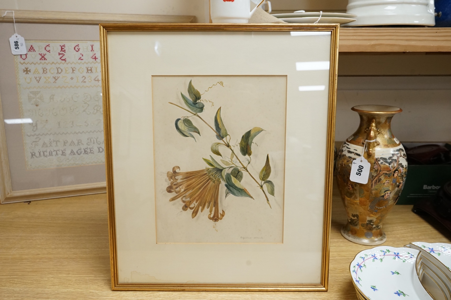 Late 19th / early 20th century school, set of eighteen watercolours, botanical studies, some with Latin pencil inscriptions, unsigned, 29 x 22cm